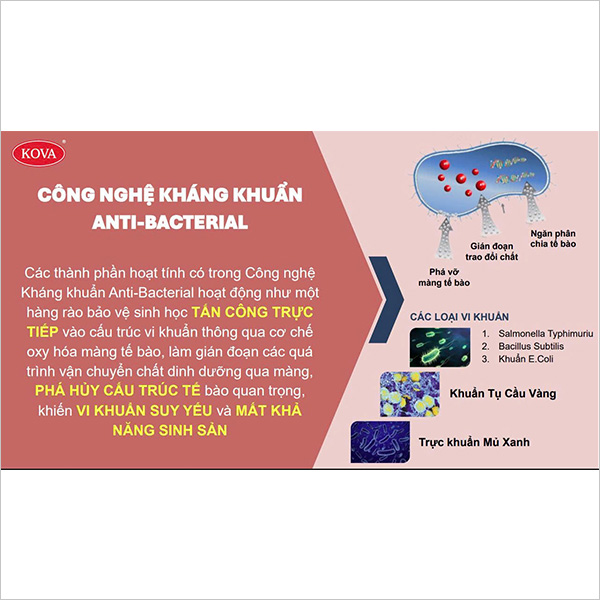 Sơn nội thất Kova